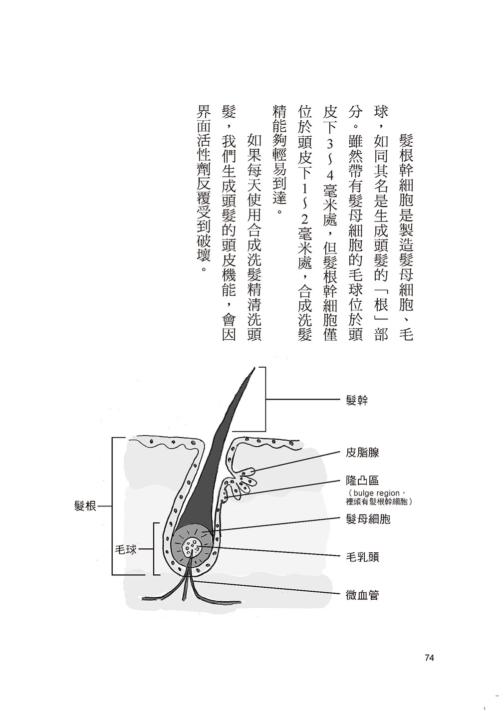 鹽水洗頭的生髮革命：拯救掉髮、頭髮稀疏，打造健康頭皮