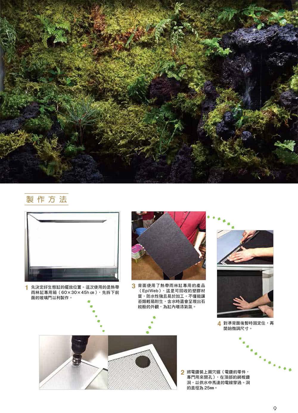 打造爬蟲類、兩棲類的專屬生態缸