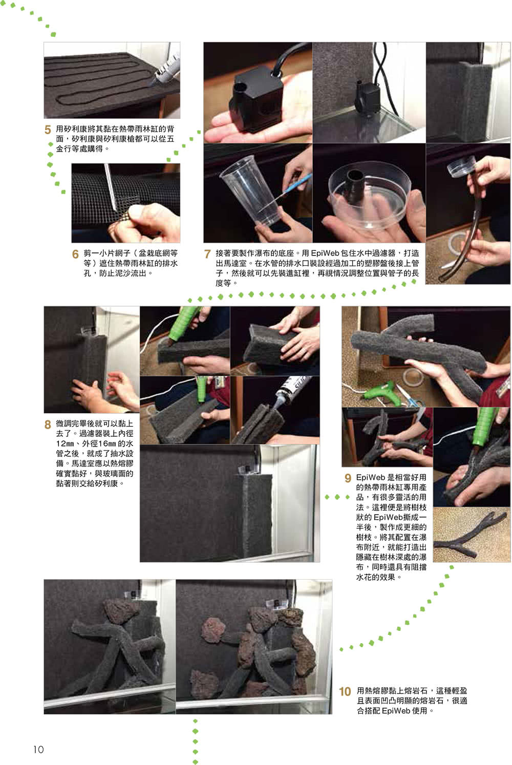 打造爬蟲類、兩棲類的專屬生態缸