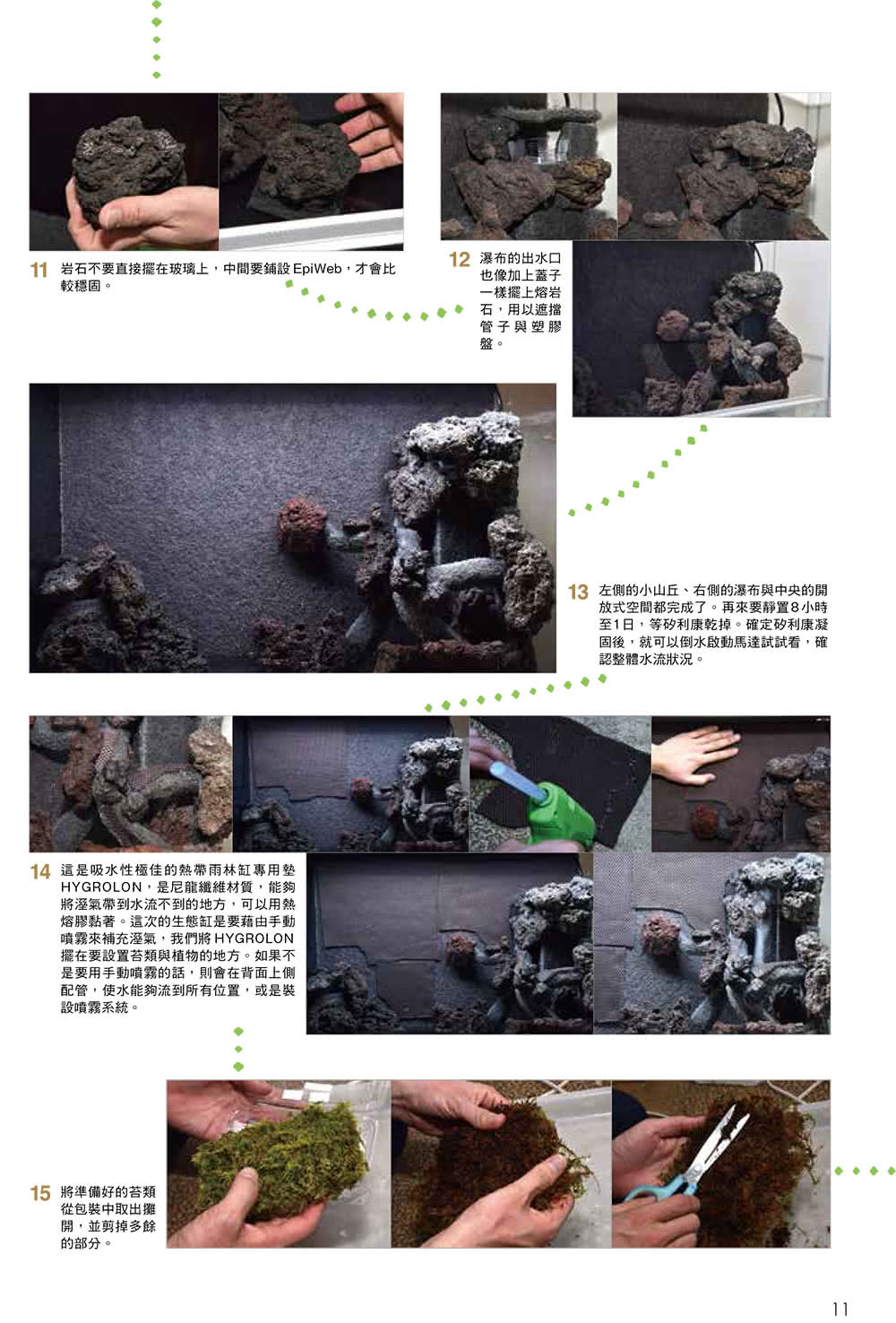 打造爬蟲類、兩棲類的專屬生態缸