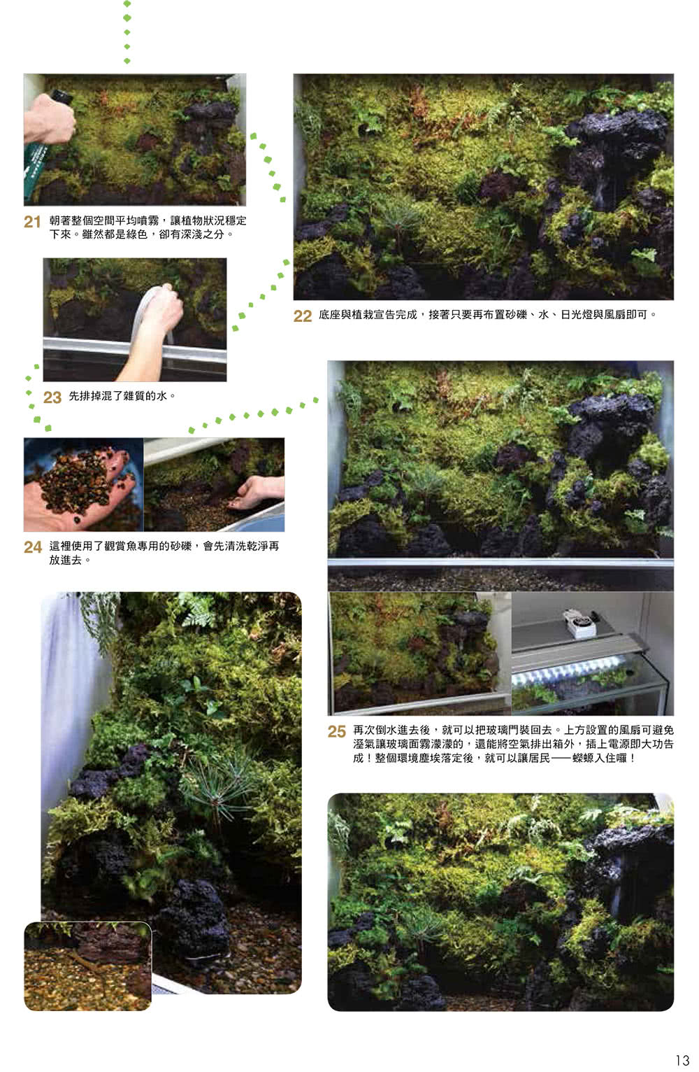 打造爬蟲類、兩棲類的專屬生態缸