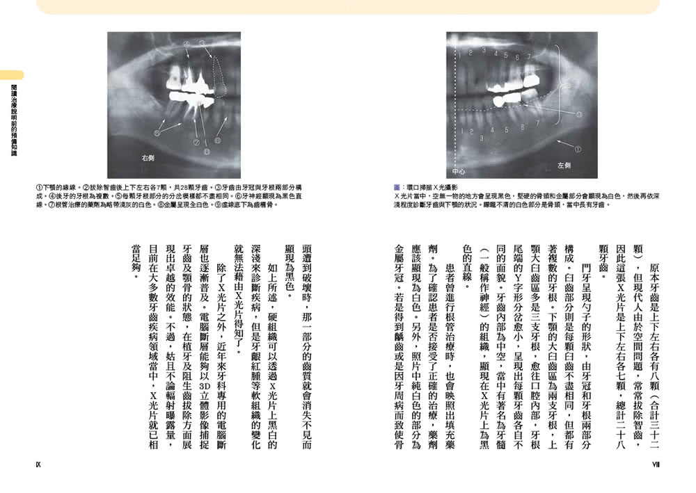 牙齒好 不會老！從嬰兒到銀髮族都適用的牙齒保健百科