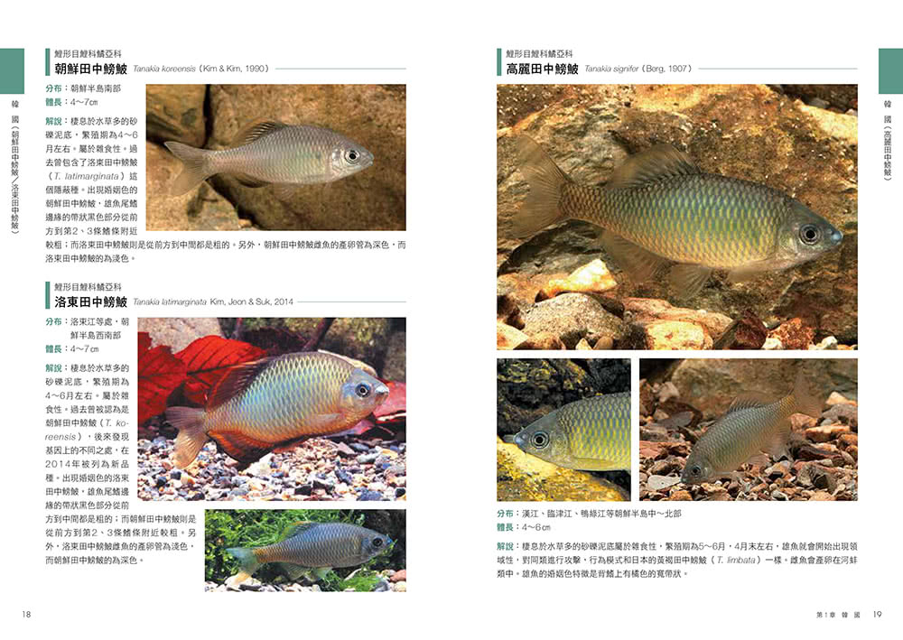世界溫帶淡水魚圖鑑 Momo購物網