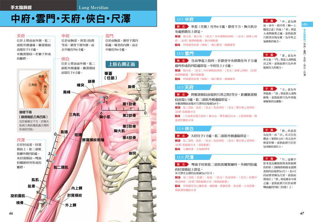 超圖解經絡．穴道：透過經穴建構人體健康地圖