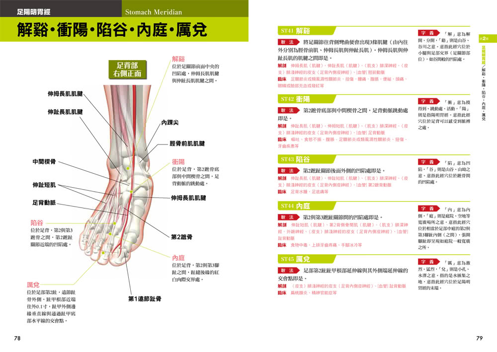 超圖解經絡．穴道：透過經穴建構人體健康地圖