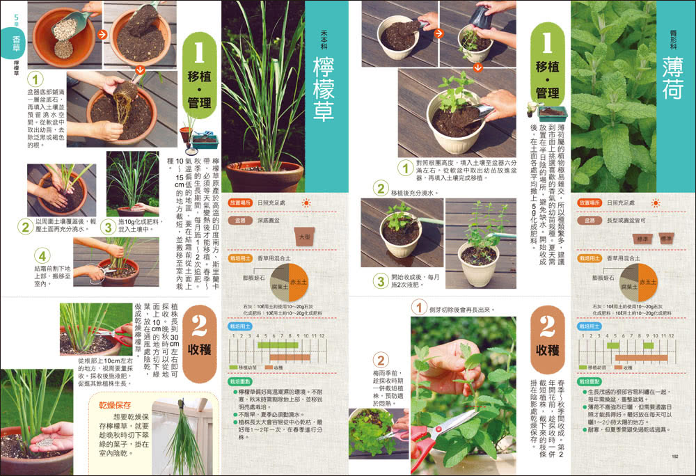 樂活陽台蔬菜盆栽【暢銷新裝版】：準備知識×日常養護×豐收密技，82種蔬菜輕鬆種，第一次做都市農夫就上手