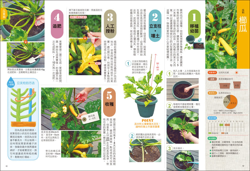 樂活陽台蔬菜盆栽【暢銷新裝版】：準備知識×日常養護×豐收密技，82種蔬菜輕鬆種，第一次做都市農夫就上手