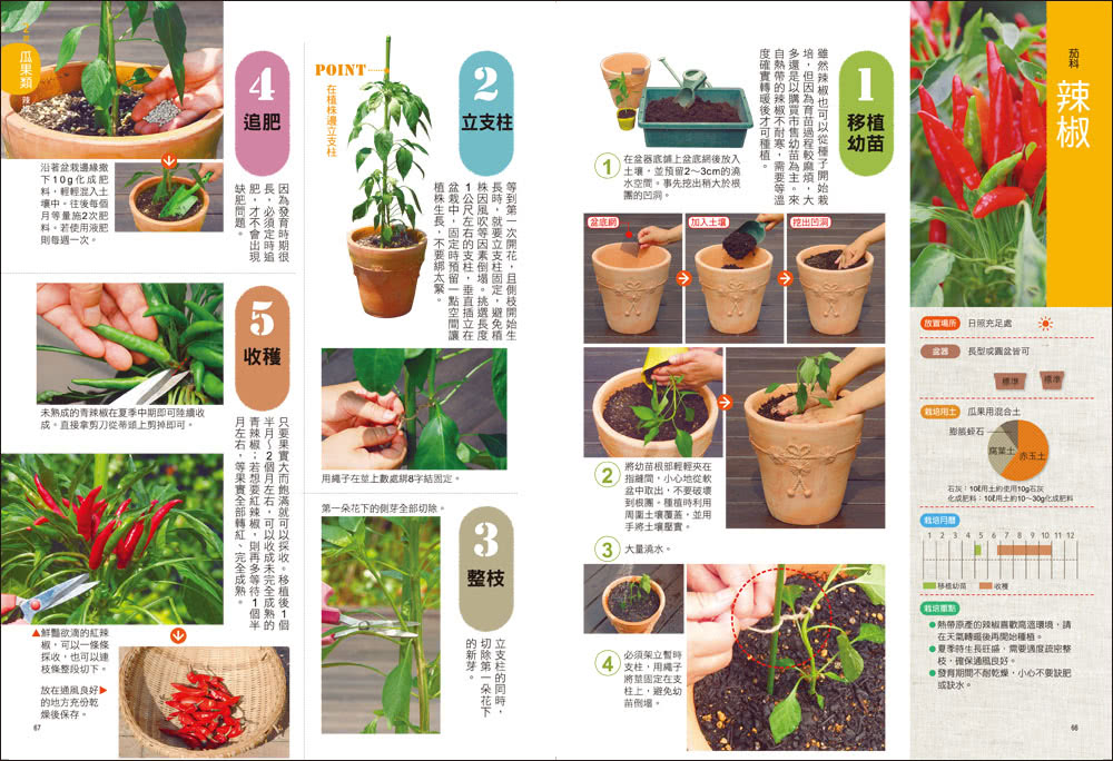 樂活陽台蔬菜盆栽【暢銷新裝版】：準備知識×日常養護×豐收密技，82種蔬菜輕鬆種，第一次做都市農夫就上手