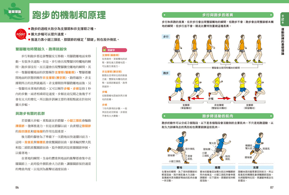 健身運動訓練理論圖解全書：更有效率地運動、增加負荷、徵召肌肉！從生理理論、營養分析到運動技巧、伸展應