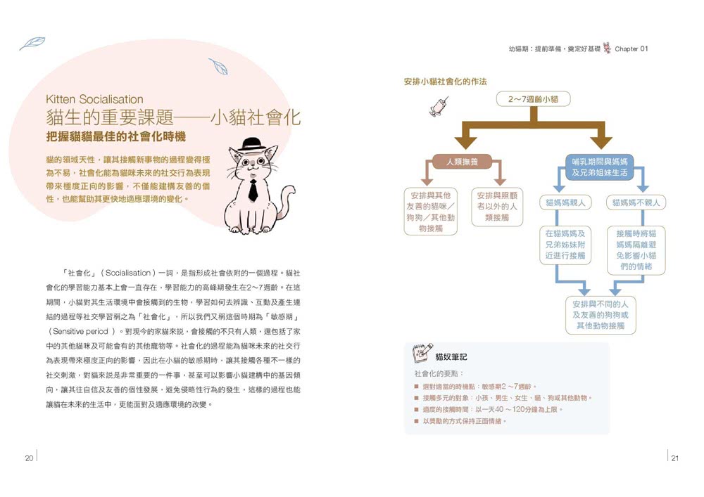 新手貓奴日誌：獸醫師為你準備的完整照護指南