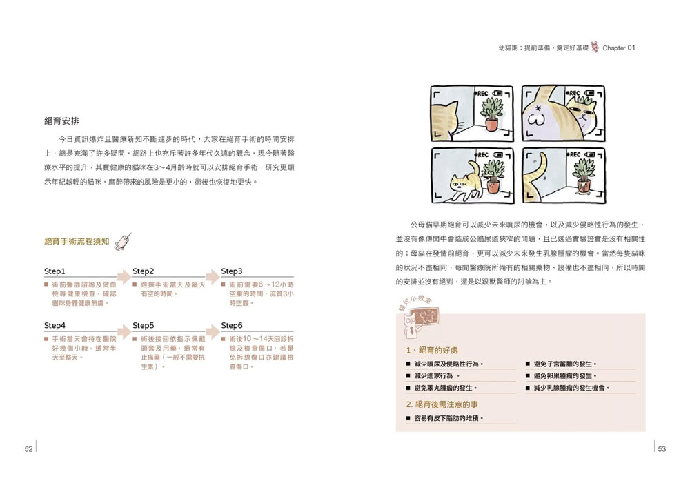 新手貓奴日誌：獸醫師為你準備的完整照護指南