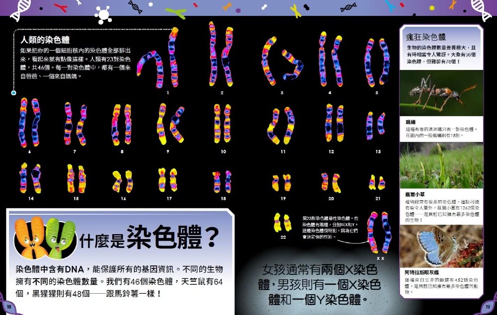 我知道！這就是DNA：認識基因、染色體與奇妙的生物遺傳密碼