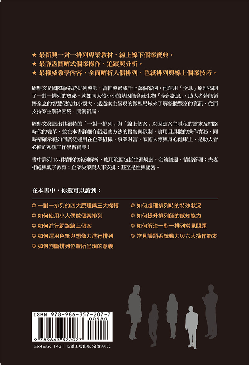 系統排列的全息智慧：一對一排列與線上個案的理論與實踐