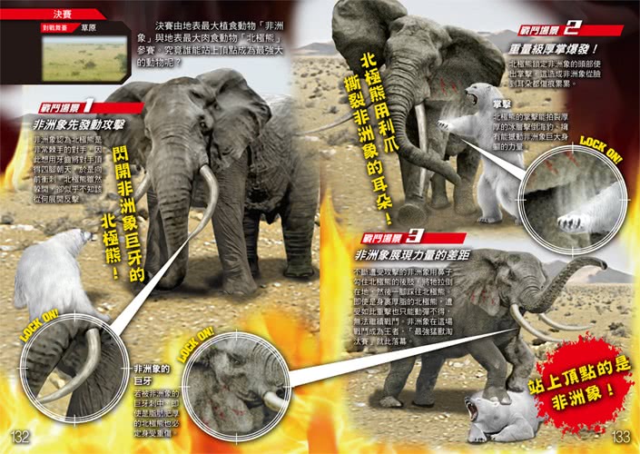 動物最強王圖鑑 No 1爭奪淘汰賽 新版 Momo購物網