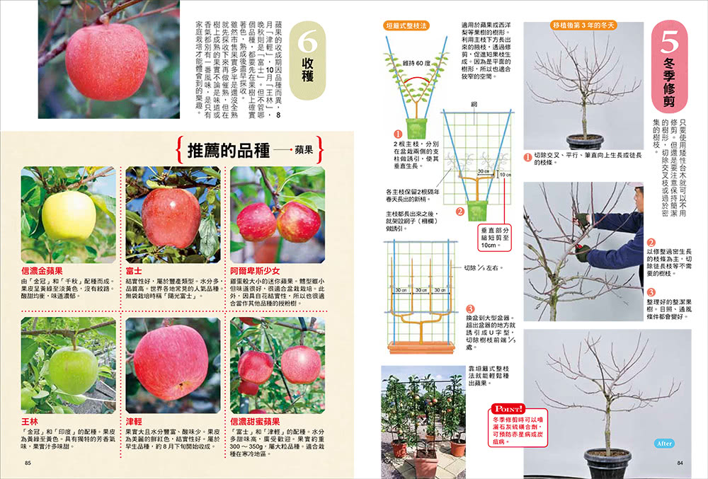 我的第一本果樹盆栽全圖解：從移植、修剪、授粉到結果，日本園藝職人傳授家庭果園的知識與祕訣