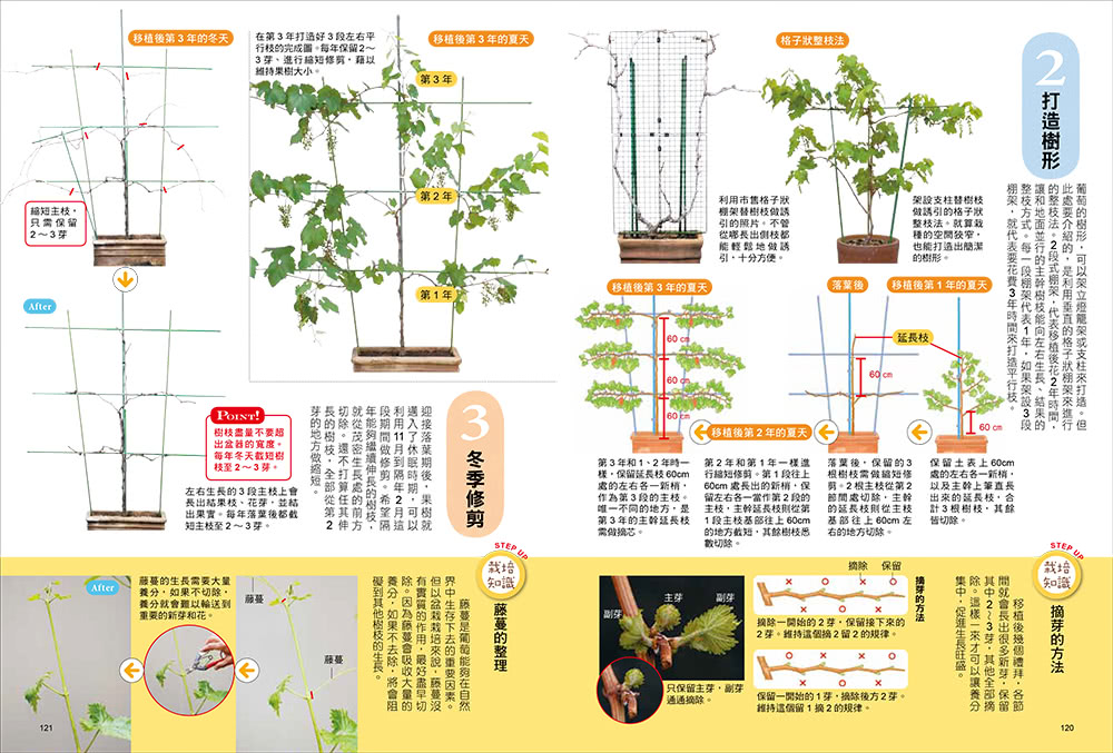 我的第一本果樹盆栽全圖解：從移植、修剪、授粉到結果，日本園藝職人傳授家庭果園的知識與祕訣