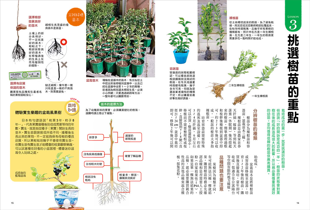 我的第一本果樹盆栽全圖解：從移植、修剪、授粉到結果，日本園藝職人傳授家庭果園的知識與祕訣