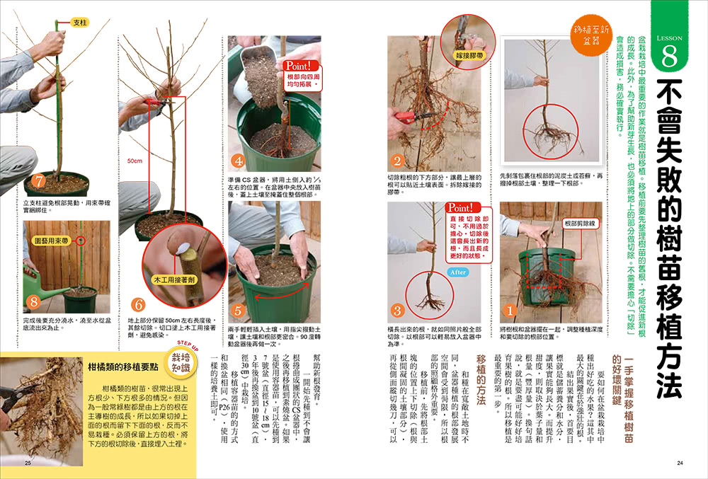 我的第一本果樹盆栽全圖解：從移植、修剪、授粉到結果，日本園藝職人傳授家庭果園的知識與祕訣