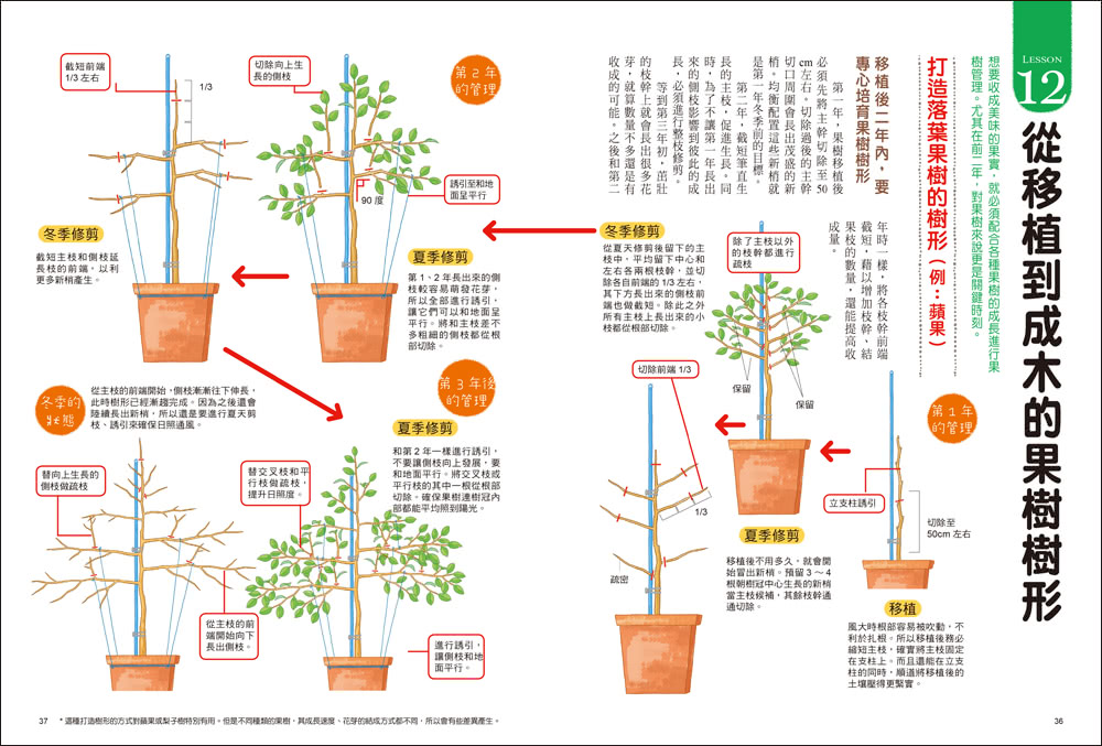 我的第一本果樹盆栽全圖解：從移植、修剪、授粉到結果，日本園藝職人傳授家庭果園的知識與祕訣