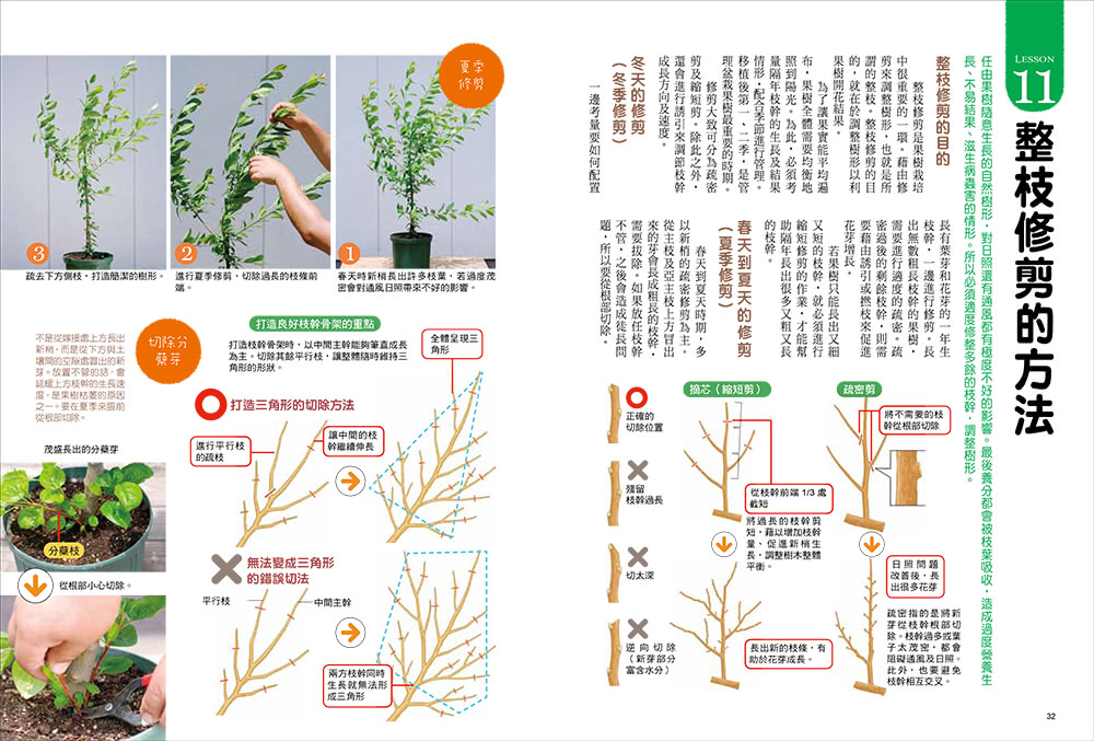 我的第一本果樹盆栽全圖解：從移植、修剪、授粉到結果，日本園藝職人傳授家庭果園的知識與祕訣