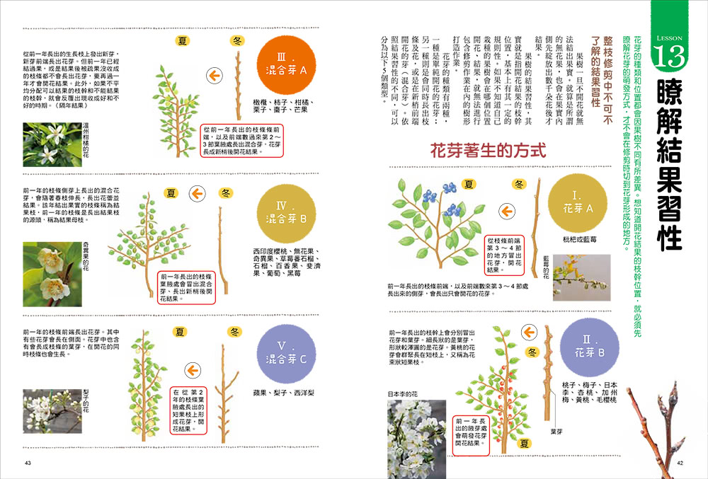 我的第一本果樹盆栽全圖解：從移植、修剪、授粉到結果，日本園藝職人傳授家庭果園的知識與祕訣