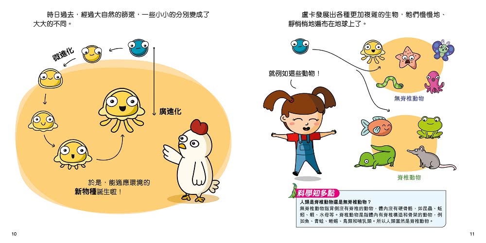 Steam 小天才 一套5冊 Momo購物網