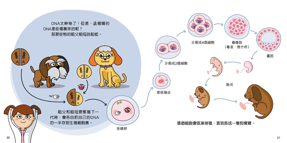 Steam 小天才 一套5冊 Momo購物網