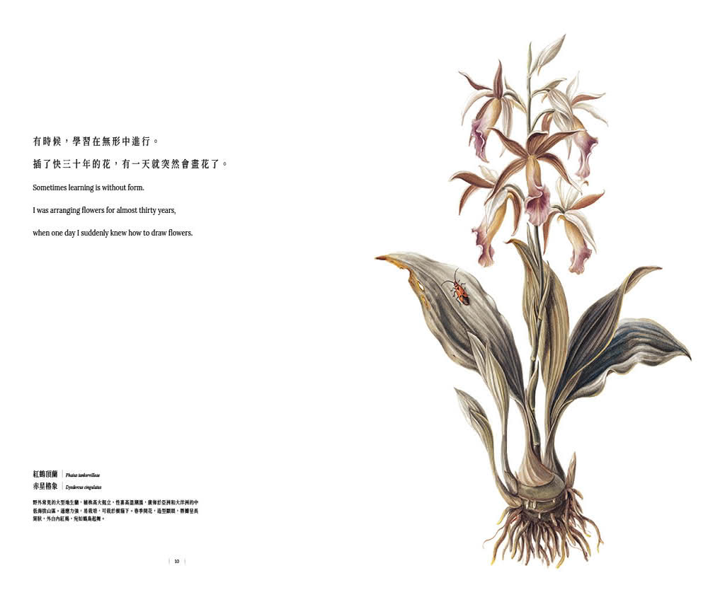【簽名版】蘭花絮語Whisper of the Orchids：臺灣第一本水彩古典蘭花畫