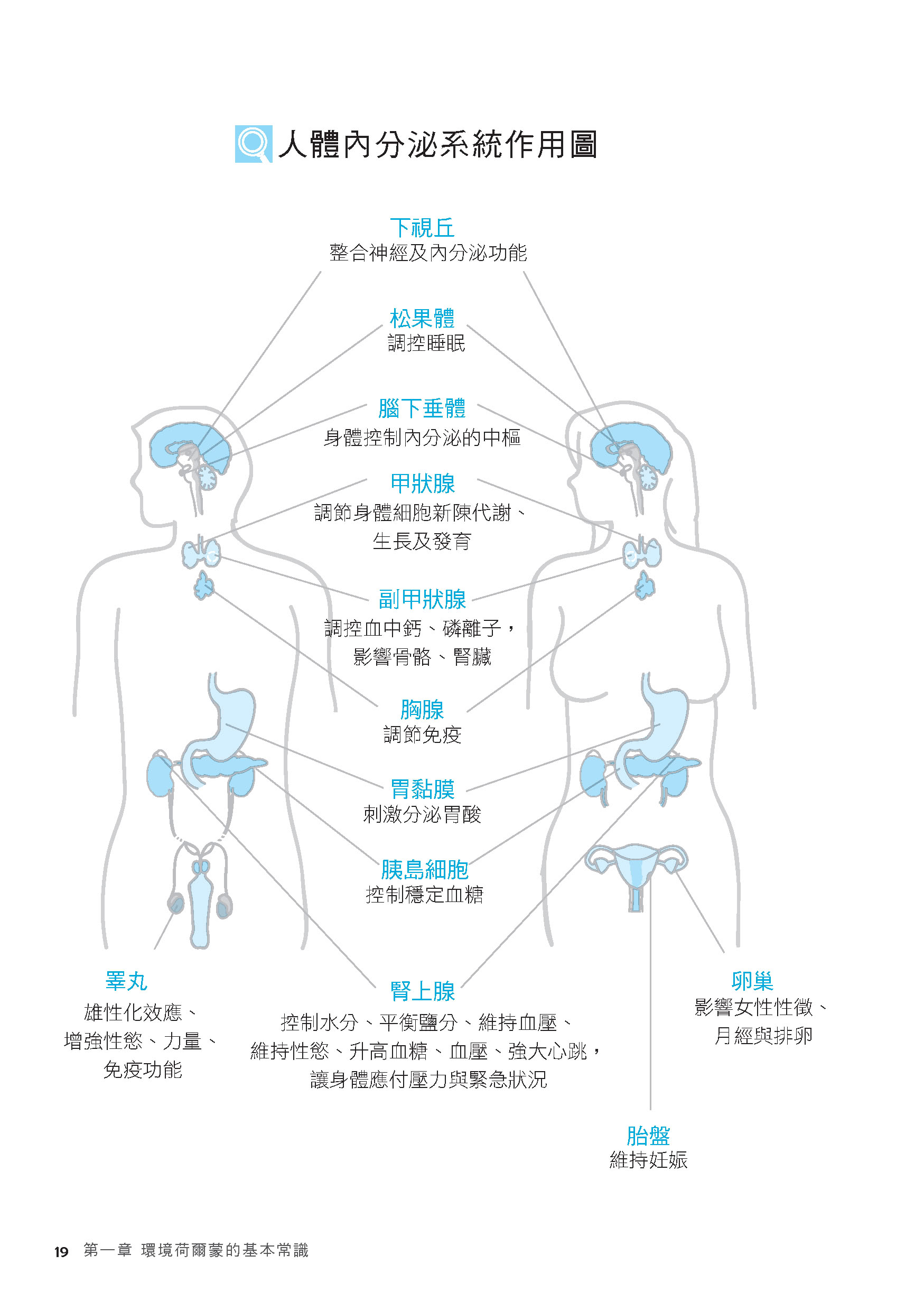 環境荷爾蒙（二版）：認識偷走健康．破壞生態的元兇：塑化劑、雙酚A、戴奧辛、壬基酚、汞…