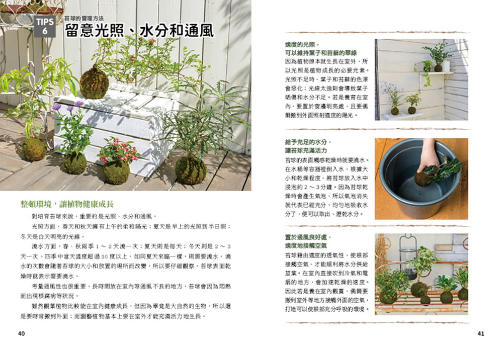 苔玉苔球養植專書 享受獨一無二的修整風格 從製作 養護到裝飾 Momo購物網
