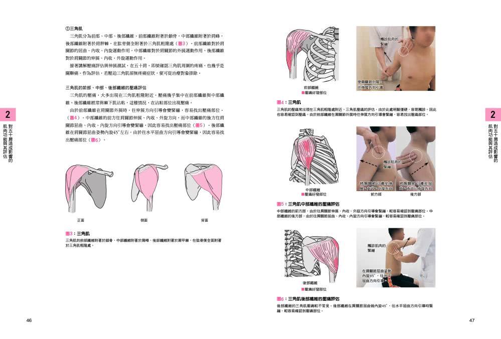 五十肩的診斷與物理治療