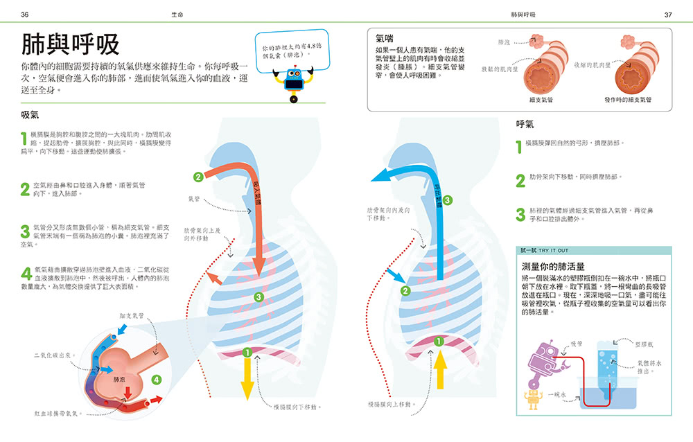 DK圖解自然科學工程大百科：STEM創新思維