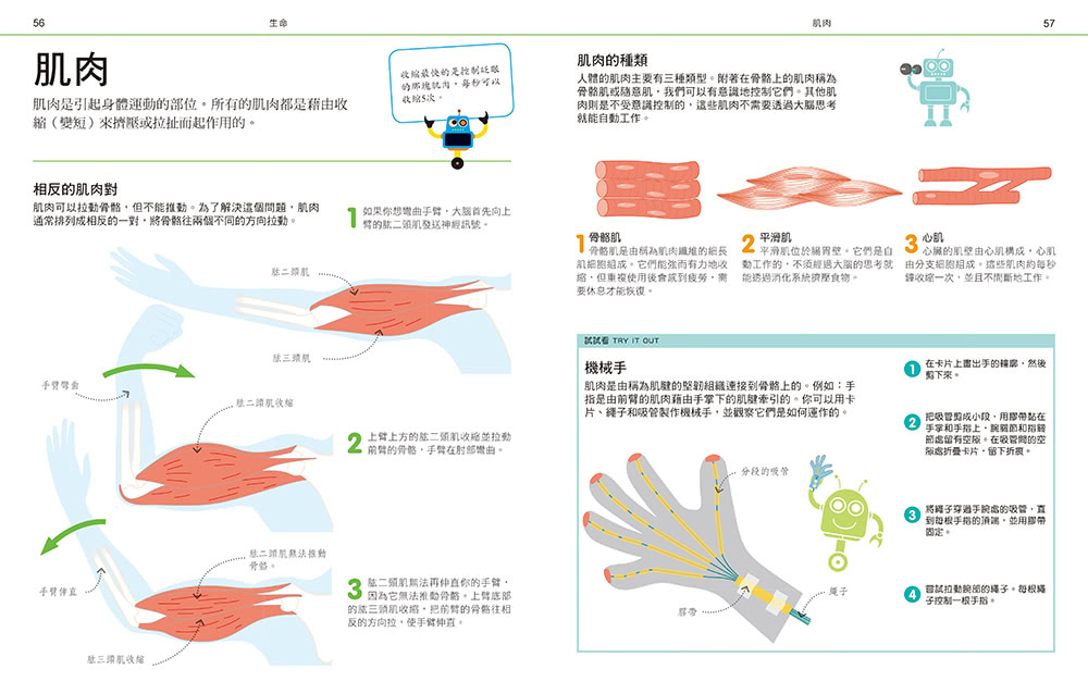 DK圖解自然科學工程大百科：STEM創新思維