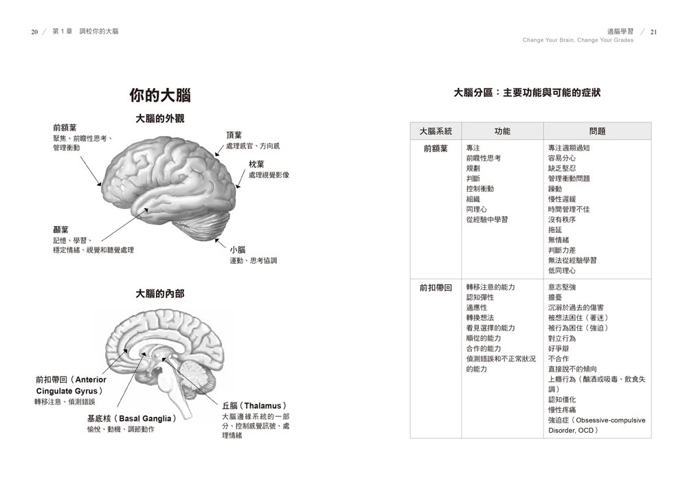 適腦學習：５種「腦型」 11種「專屬學習法」 成績無痛直升！