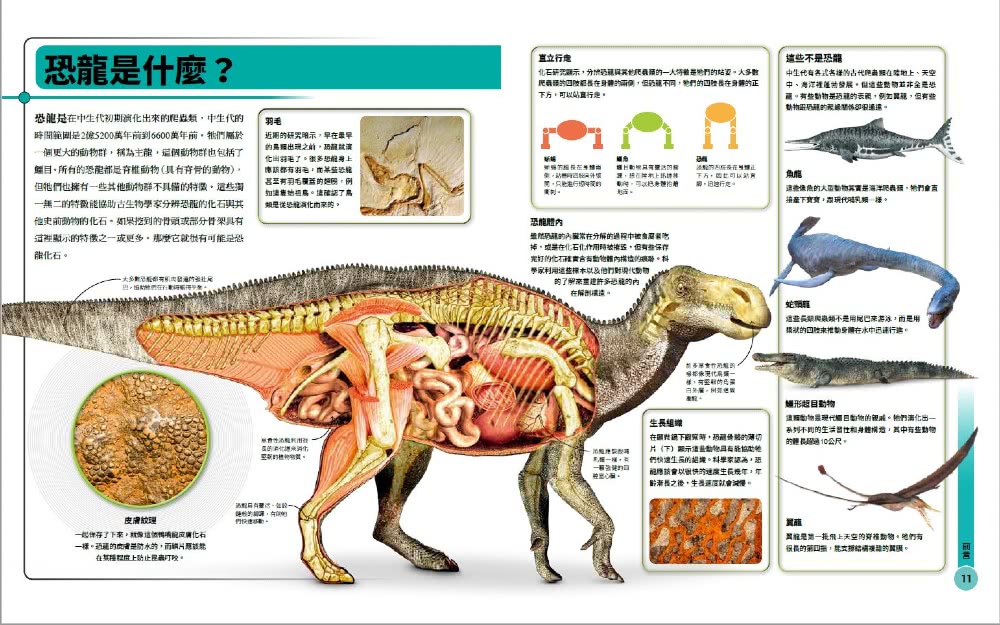 超能力恐龍百科：認識地表最大、最快、最酷的史前動物