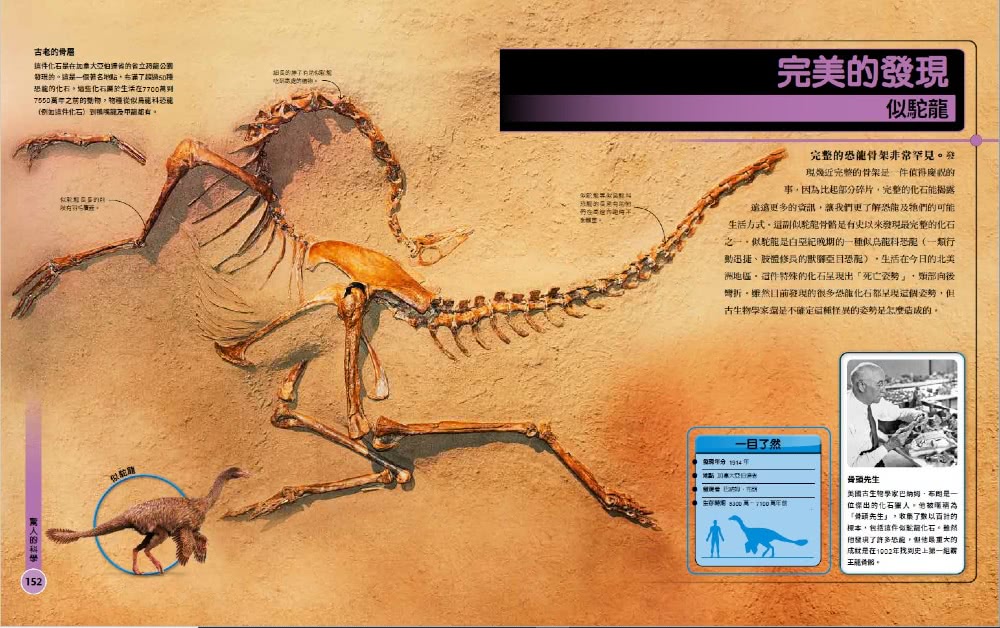 超能力恐龍百科：認識地表最大、最快、最酷的史前動物