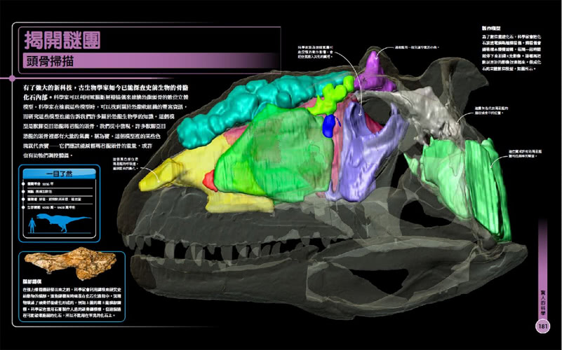 超能力恐龍百科：認識地表最大、最快、最酷的史前動物