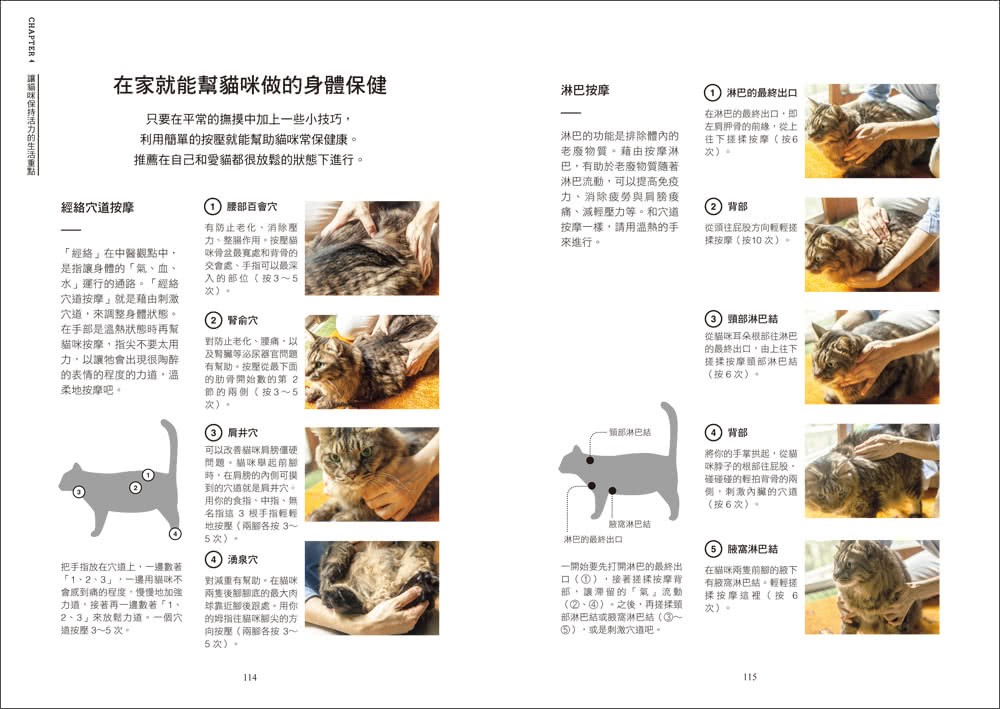 貓咪這樣吃不生病：人氣獸醫師給貓主子的46道手作鮮食，日常保健X對症飲食X主僕共餐，讓愛貓幸福長壽！