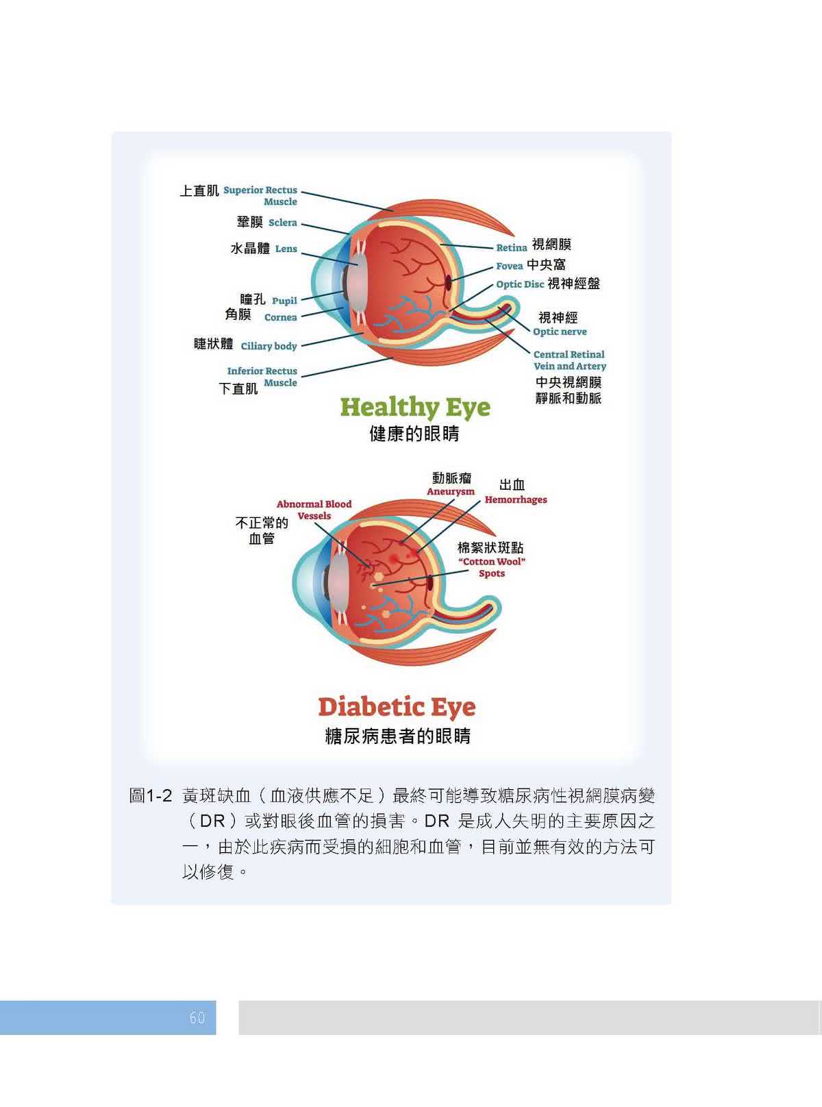 幹細胞營養學：翻轉慢性病的健康密碼