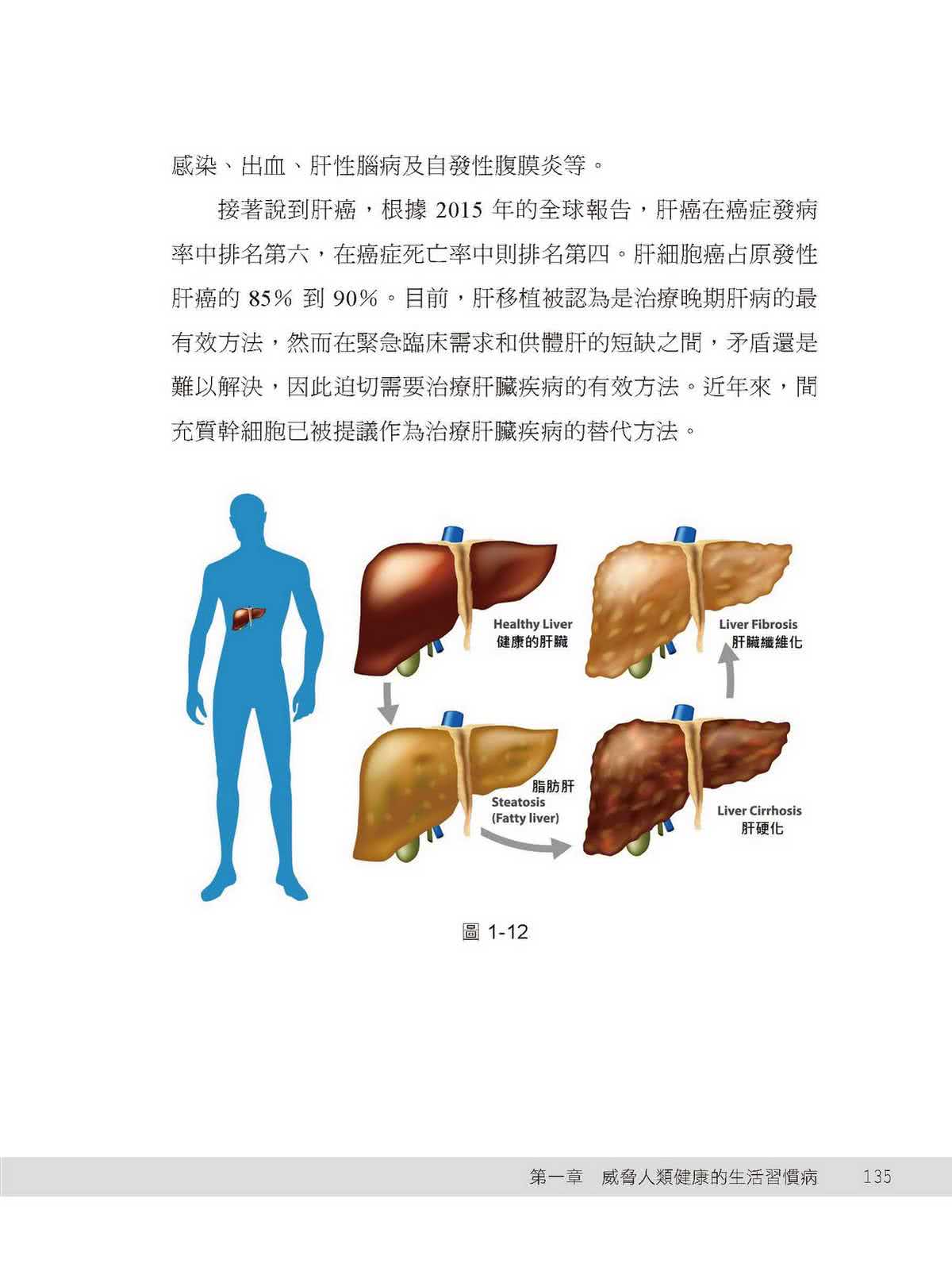 幹細胞營養學：翻轉慢性病的健康密碼