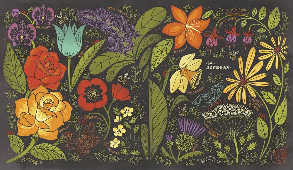 花的祕密：植物為什麼會開花？