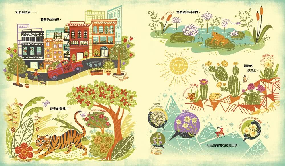 花的祕密：植物為什麼會開花？