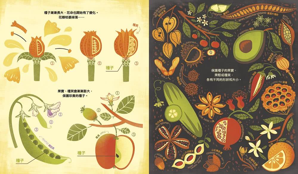 花的祕密：植物為什麼會開花？