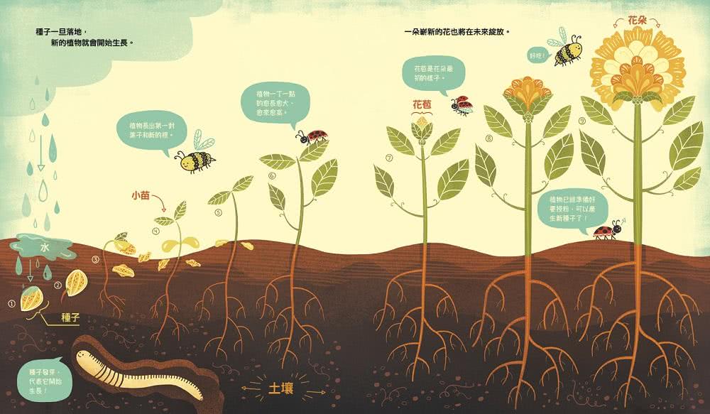 花的祕密：植物為什麼會開花？