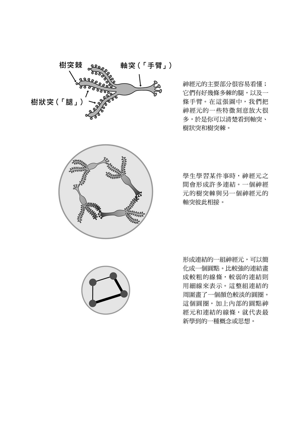 大腦喜歡這樣學．強效教學版：清晰的步驟、詳細的圖解，與活潑的實作案例，幫助老師輕鬆備課，讓學生達到最