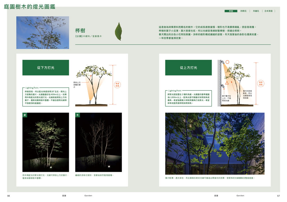 連結「住宅」&「庭園」的空間照明技法