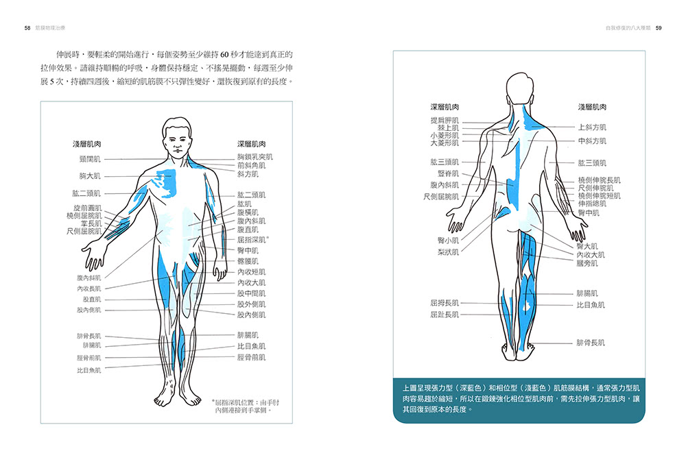 肌筋膜慣性疼痛：德國名醫獨創「筋膜動態拉伸運動」 鬆開全身緊縮的筋膜