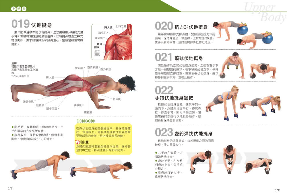 科學健身解剖：501式肌肉力量訓練