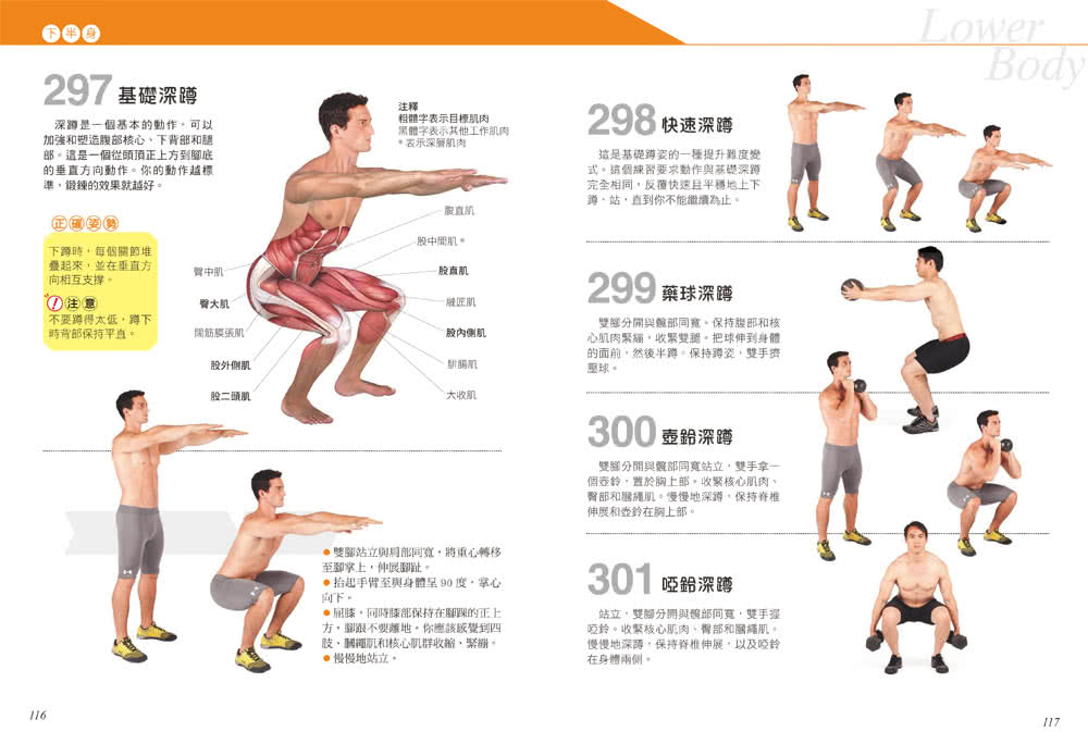 科學健身解剖：501式肌肉力量訓練