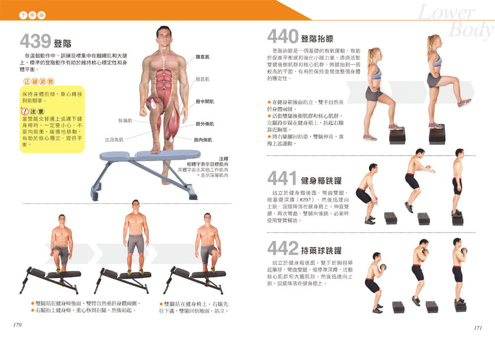 科學健身解剖：501式肌肉力量訓練